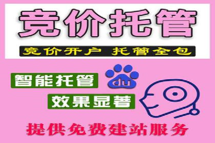 某公司sem竞价推广托管案例详解